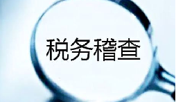 2020年稅務(wù)稽查怎么進行？