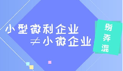 什么是小型微利企業(yè)？