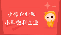 小微企業(yè)和小型微利企業(yè)有什么區(qū)別？