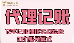 外資企業(yè)可以找代理記賬報(bào)稅公司嗎？